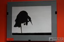 Шостий випуск «Школи фотографії» вийшов у світ