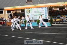 Таеквондисти показували свою майстерність