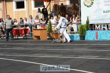 Таеквондисти показували свою майстерність