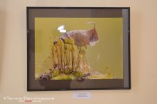 Фотобієнале «Природа 2012»