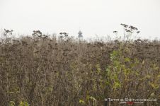 «Станіслав-кантрі 2012»