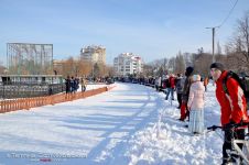 Перегони на собачих упряжках 