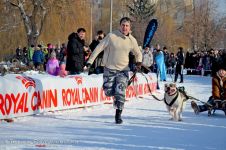 Перегони на собачих упряжках 