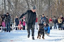 Перегони на собачих упряжках 
