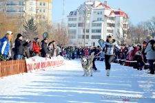 Перегони на собачих упряжках 