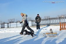 Перегони на собачих упряжках 