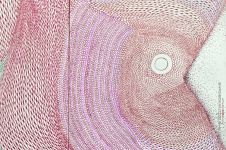 «Риботерапія» Влодки Кауфмана