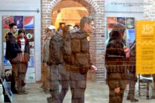 365º радості Миколи Шкварка