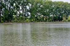 Велопарад дівчат