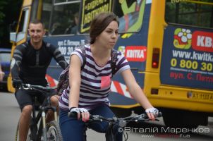 Велодень 2013