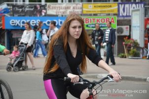 Велодень 2013